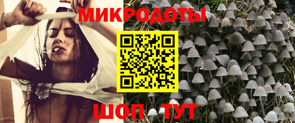 наркота  Вход с VPN  Нефтекамск  Псилоцибиновые грибы Psilocybe 