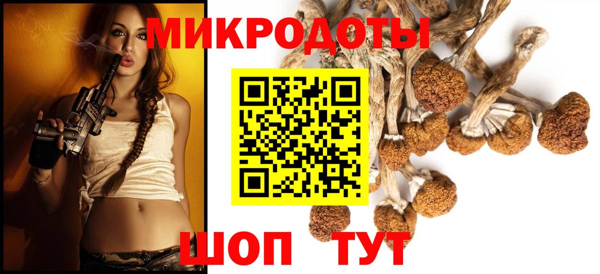 Галлюциногенные грибы Psilocybine cubensis Нефтекамск